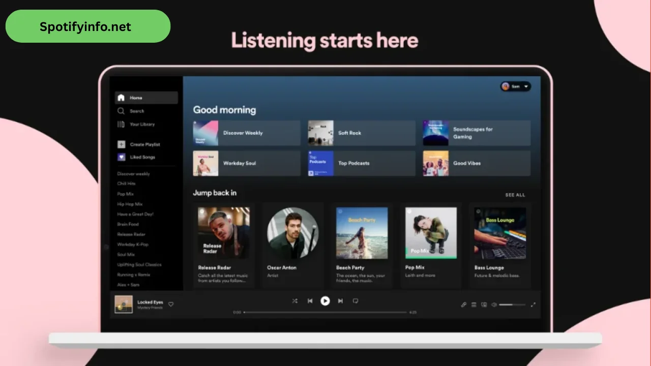 Spotify Premium for PC (1)