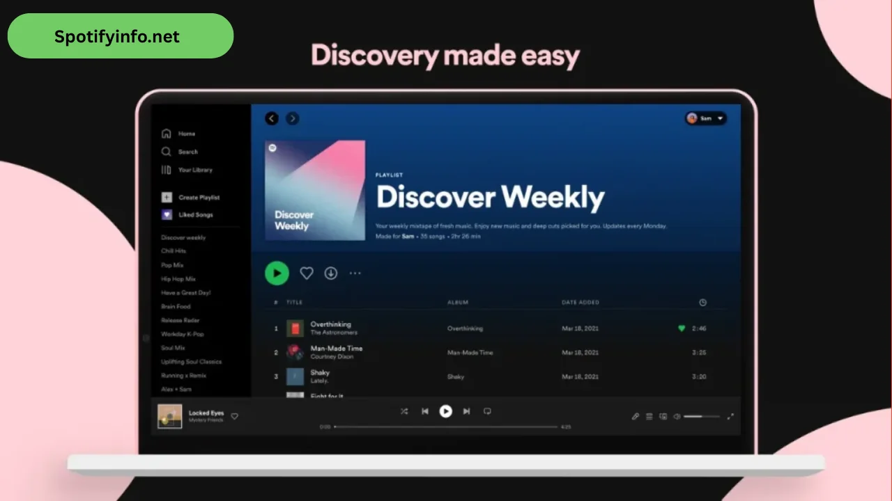 Spotify Premium for PC (2)