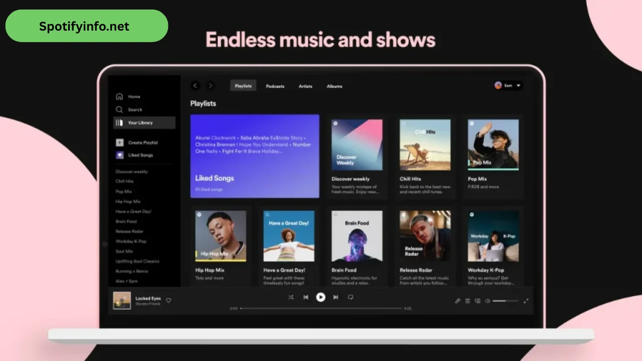 Spotify Premium for PC (3)