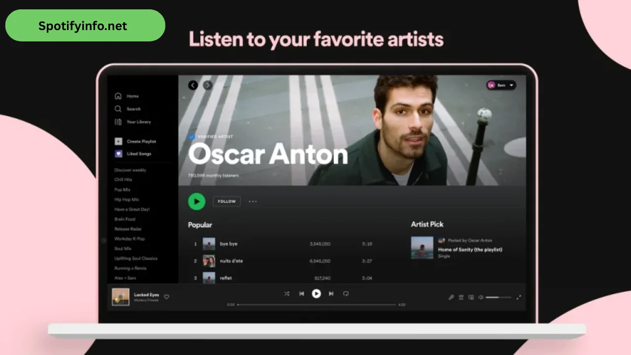 Spotify Premium for PC (4)