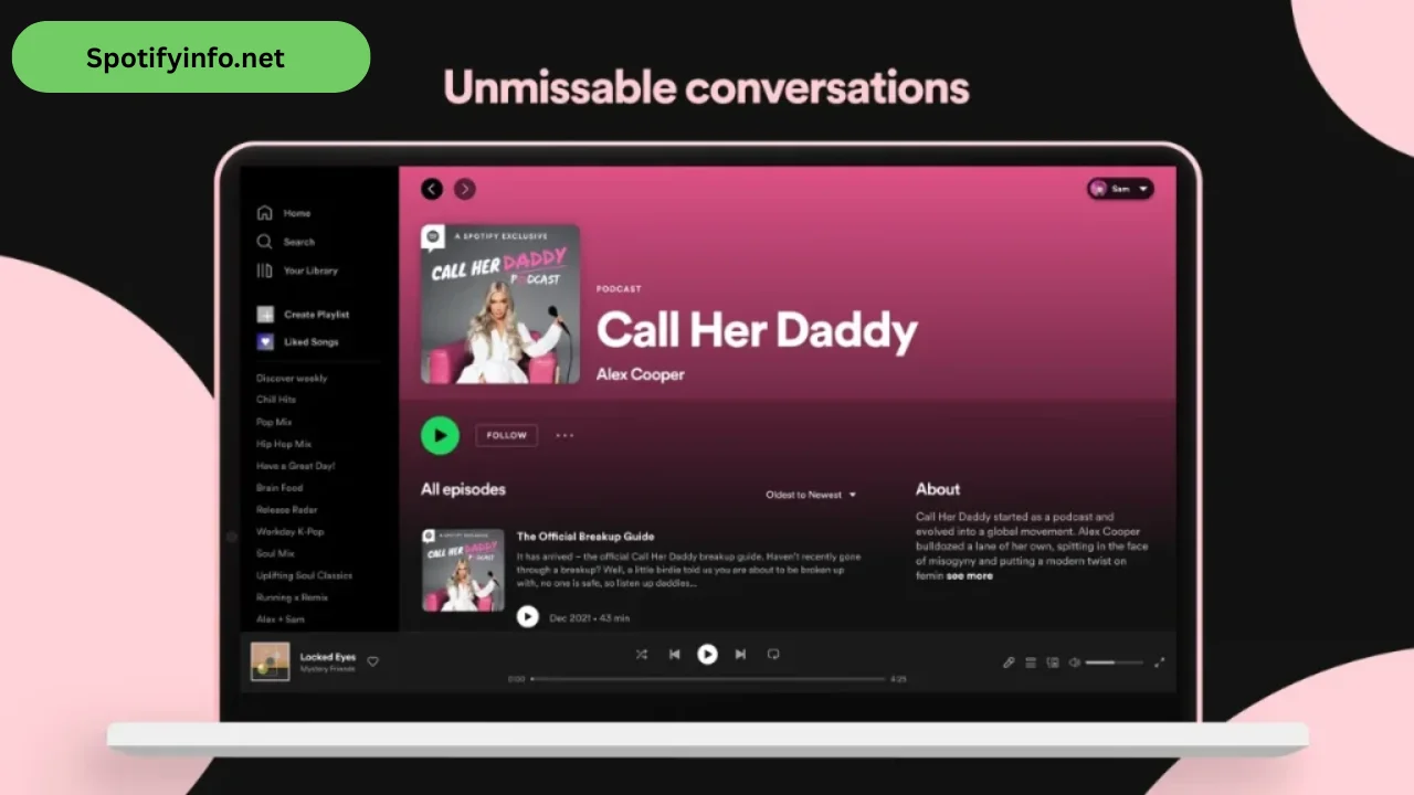 Spotify Premium for PC (5)