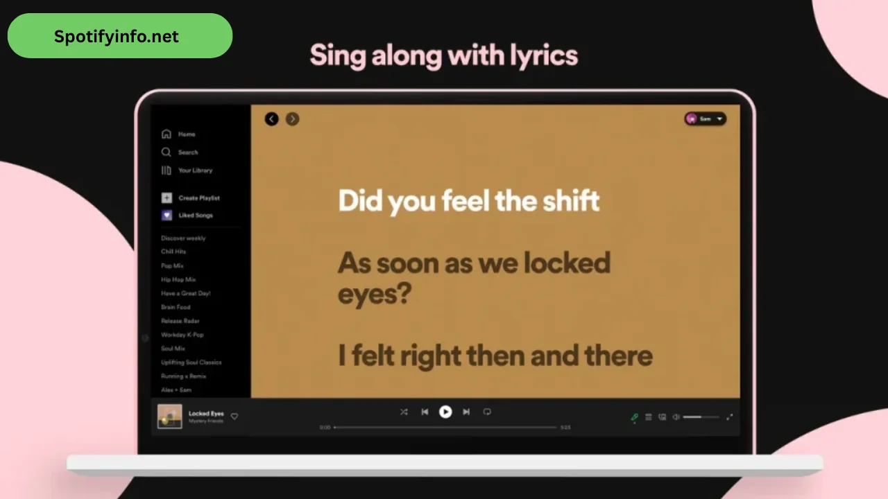 Spotify Premium for PC (6)